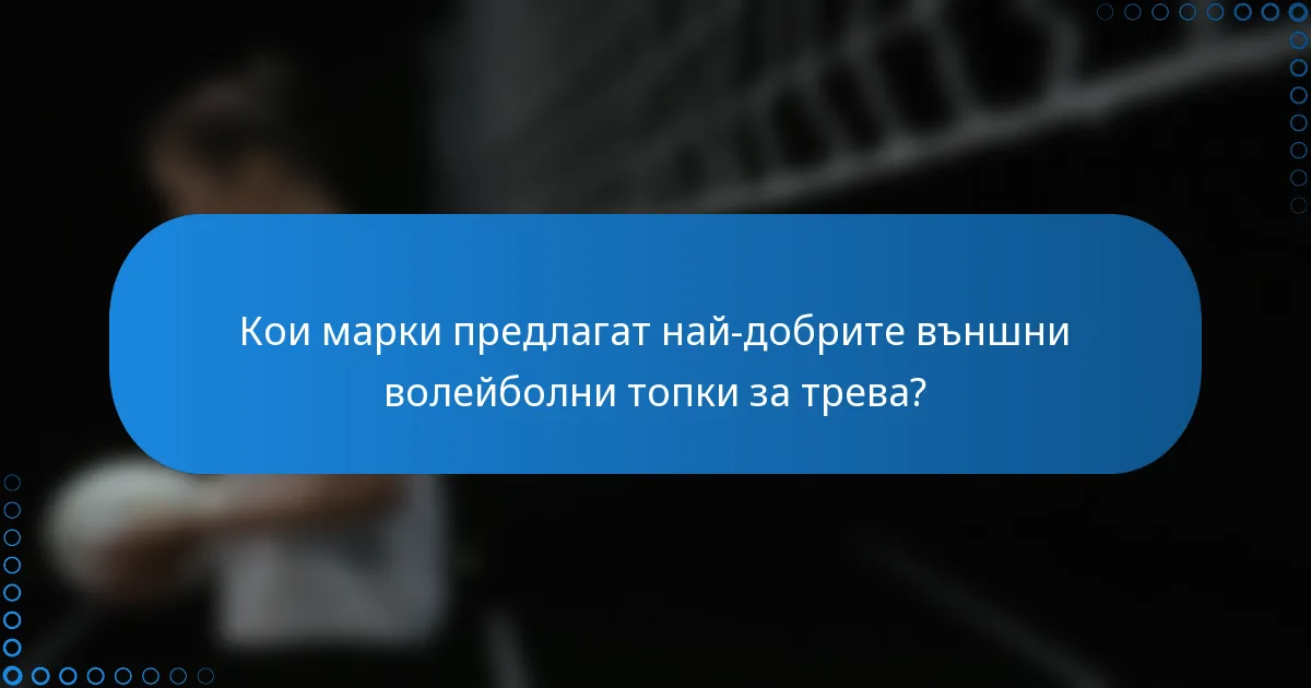 Кои марки предлагат най-добрите външни волейболни топки за трева?