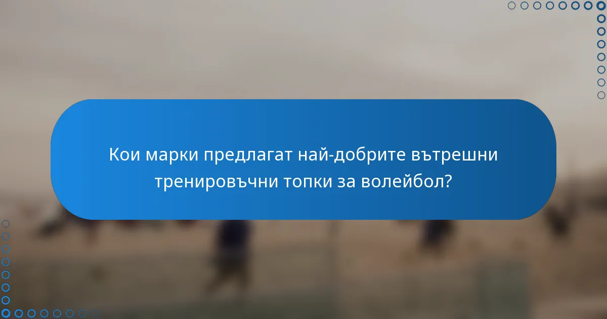 Кои марки предлагат най-добрите вътрешни тренировъчни топки за волейбол?