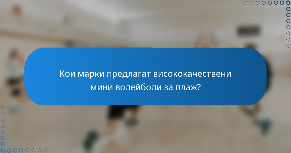Кои марки предлагат висококачествени мини волейболи за плаж?